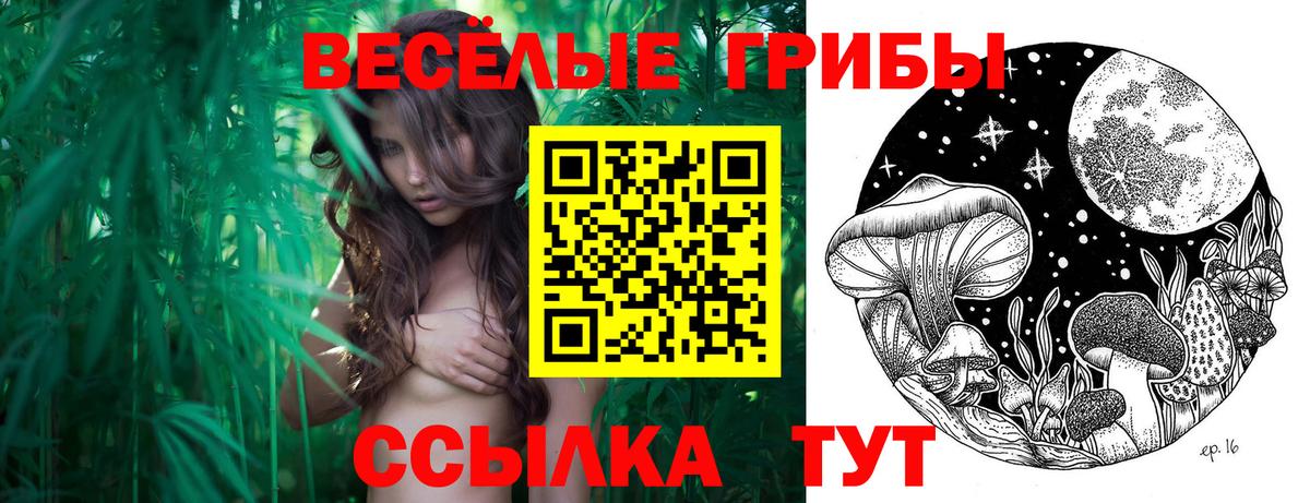 Каннабис Черкесск