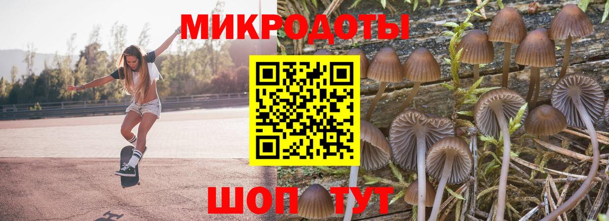 Галлюциногенные грибы прущие грибы Черкесск
