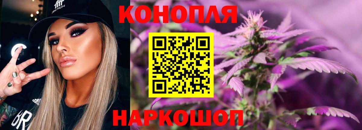 МАРИХУАНА гибрид  Бошки Шишки семена  Шишки марихуана ГИДРОПОН  Черкесск  Вход с VPN  Марихуана ГИДРОПОН 